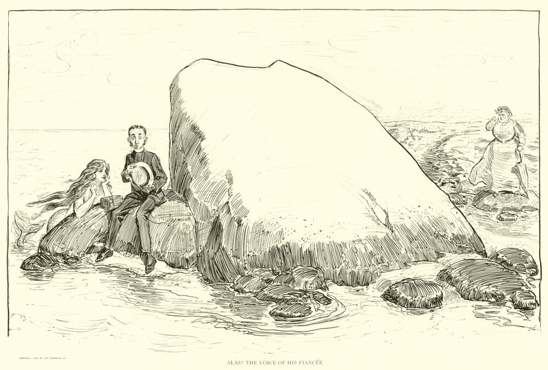 Illustratie voor De Sociale Ladder door Charles Dana Gibson