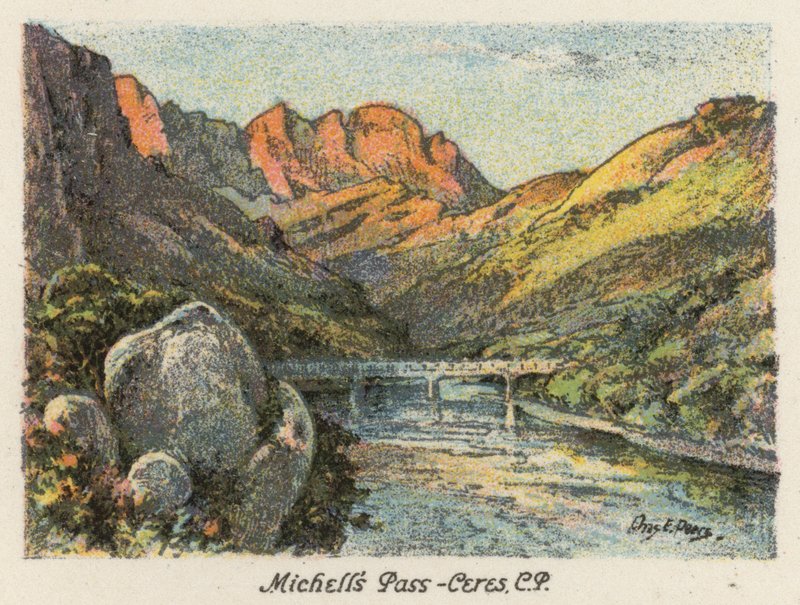 Zuid-Afrika: Michell