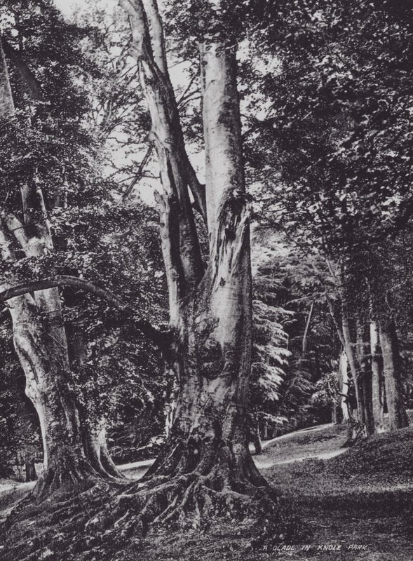 Een open plek in Knole Park door Charles Essenhigh Corke