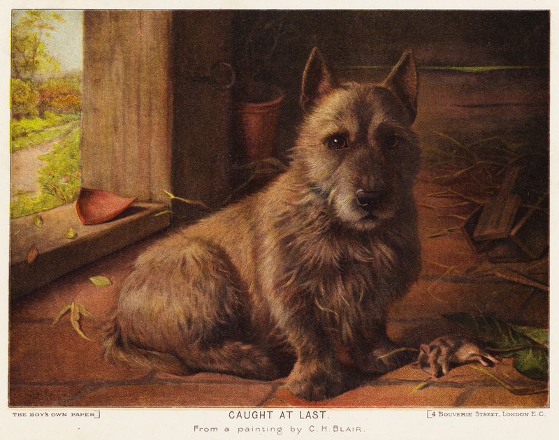 Eindelijk gevangen door Charles Henry Blair