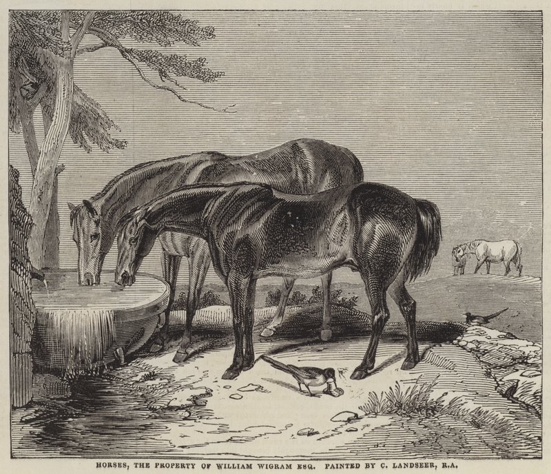 Paarden, eigendom van William Wigram, Esquire door Charles Landseer
