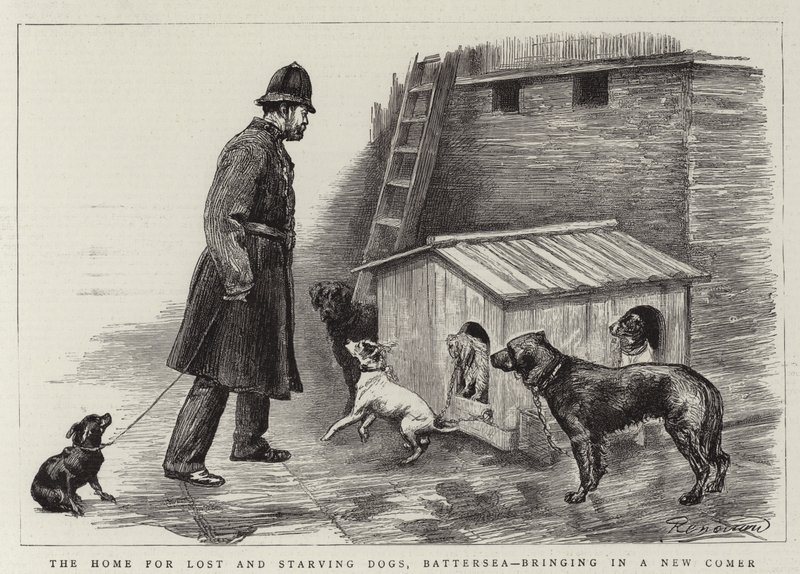 Het huis voor verloren en uitgehongerde honden, Battersea, brengt een nieuwkomer binnen door Charles Paul Renouard