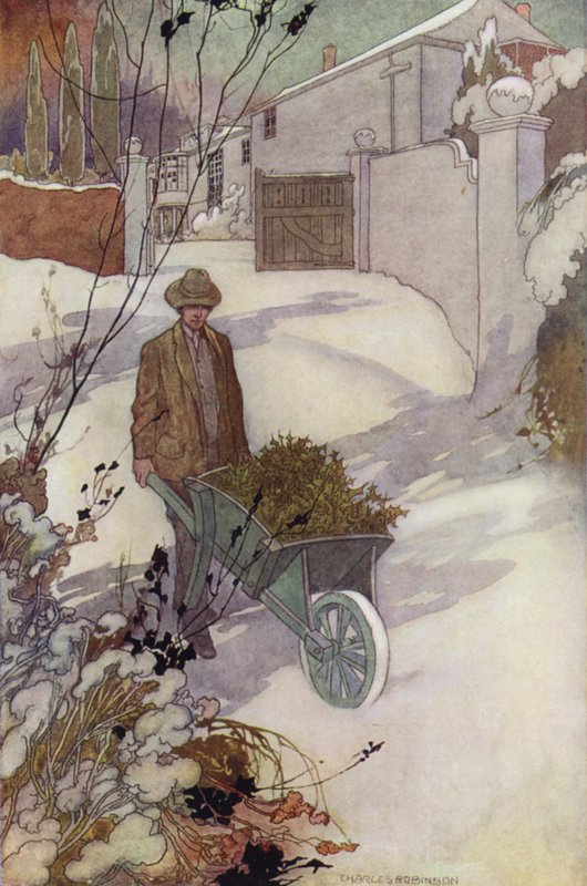 Onze sentimentele tuin: Winter door Charles Robinson