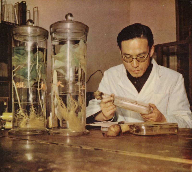 Chinese landbouwchemicus van het Changchun Research Institute, Volksrepubliek China, jaren 1950 door Chinese Photographer