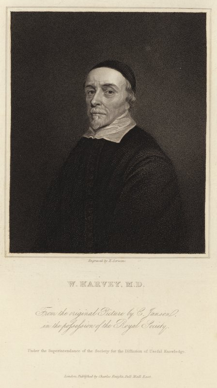 William Harvey door Cornelius Janssen van Ceulen