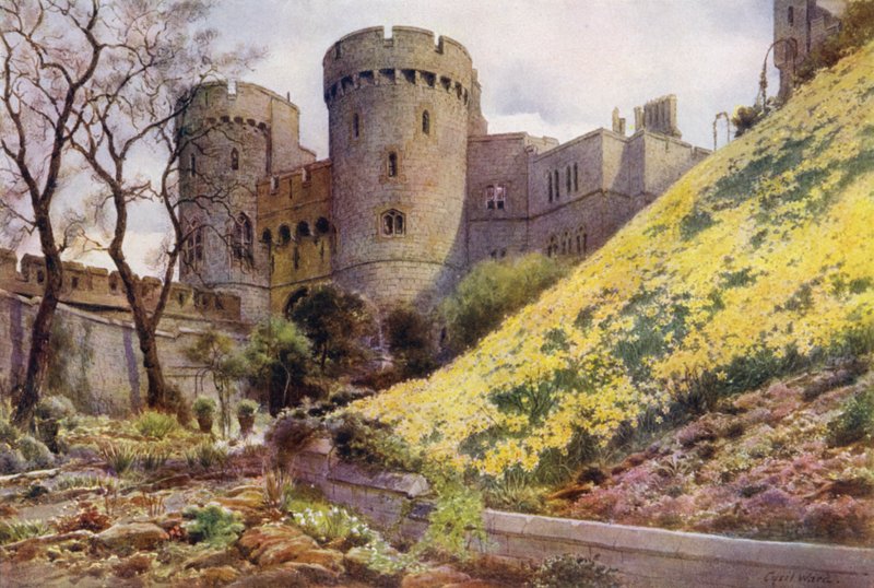 Narcissen op de heuvel onder de Ronde Toren, Windsor Castle door Cyril Ward
