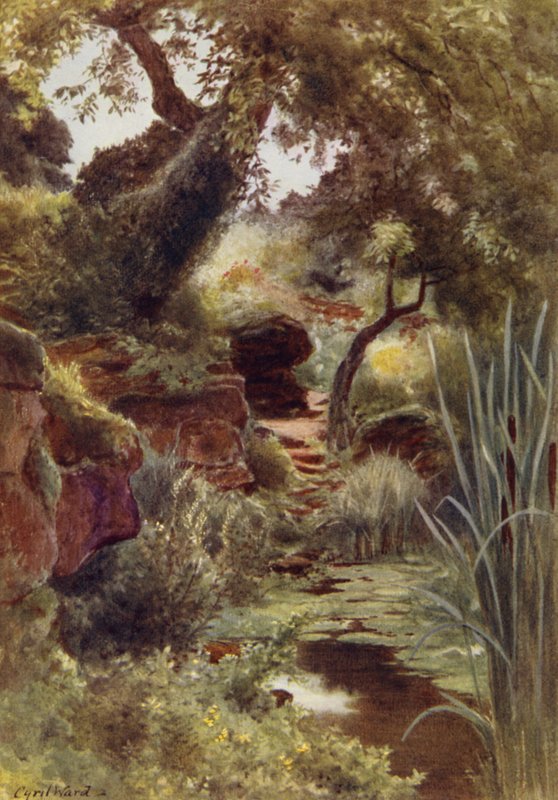 Deel van de rotstuin bij het bovenmeer, Sandringham door Cyril Ward