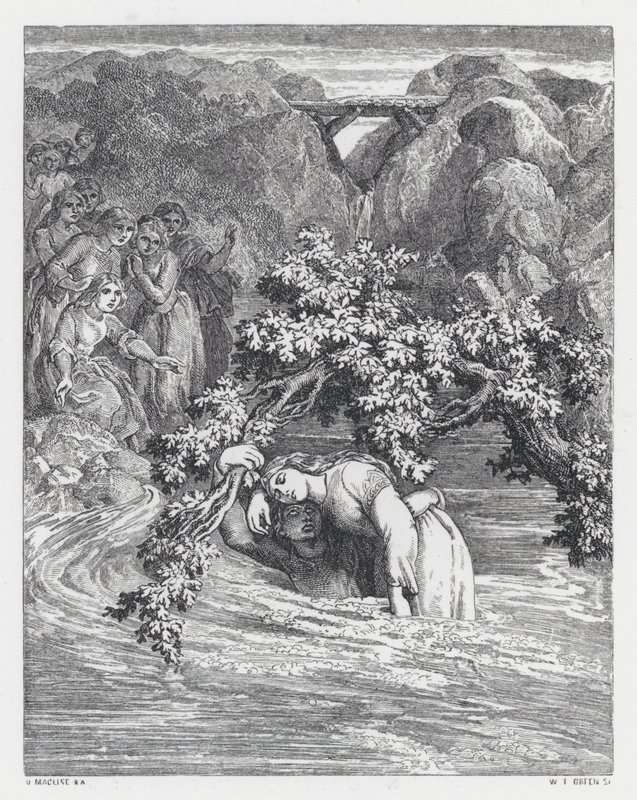 Illustratie voor Tennyson