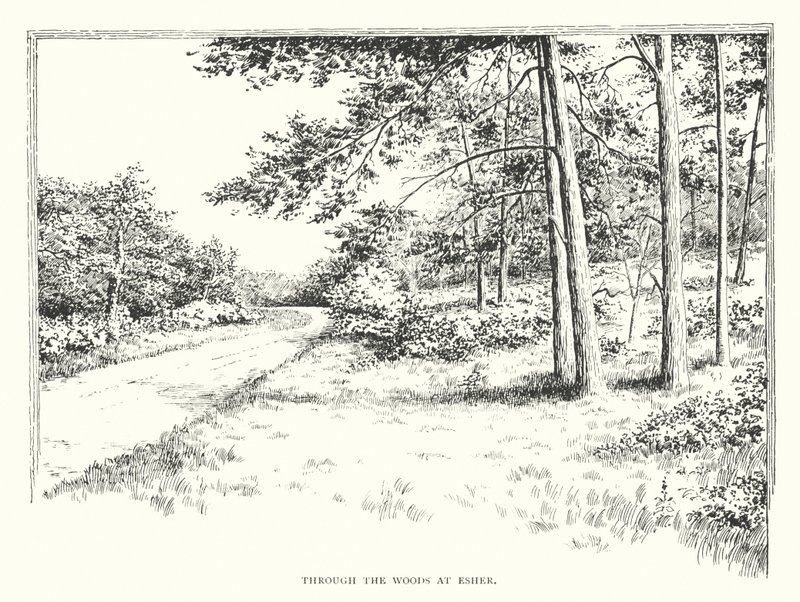 Door de bossen bij Esher door Duncan Moul