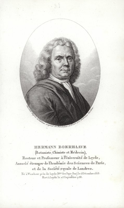 Herman Boerhaave door Dutch School