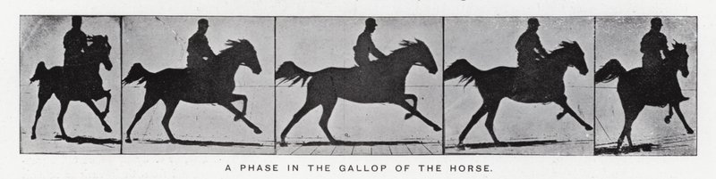 Eadweard Muybridge: Een fase in de galop van het paard (zw/w foto) door Eadweard Muybridge