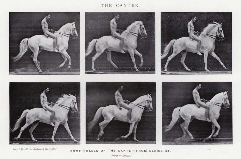 Eadweard Muybridge: De Draf door Eadweard Muybridge