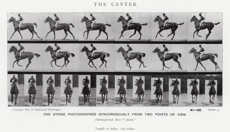 Eadweard Muybridge: De galop door Eadweard Muybridge