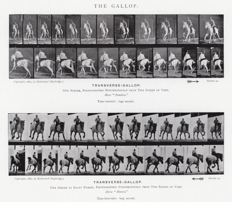 De Galop door Eadweard Muybridge