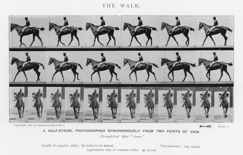 Eadweard Muybridge: De wandeling (zwart-wit foto) door Eadweard Muybridge