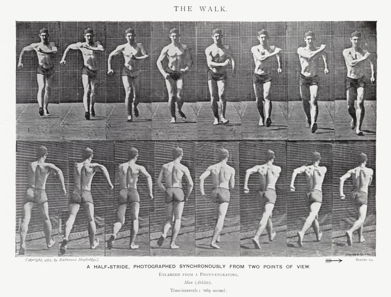 Eadweard Muybridge: De Wandeling (zw/w foto) door Eadweard Muybridge