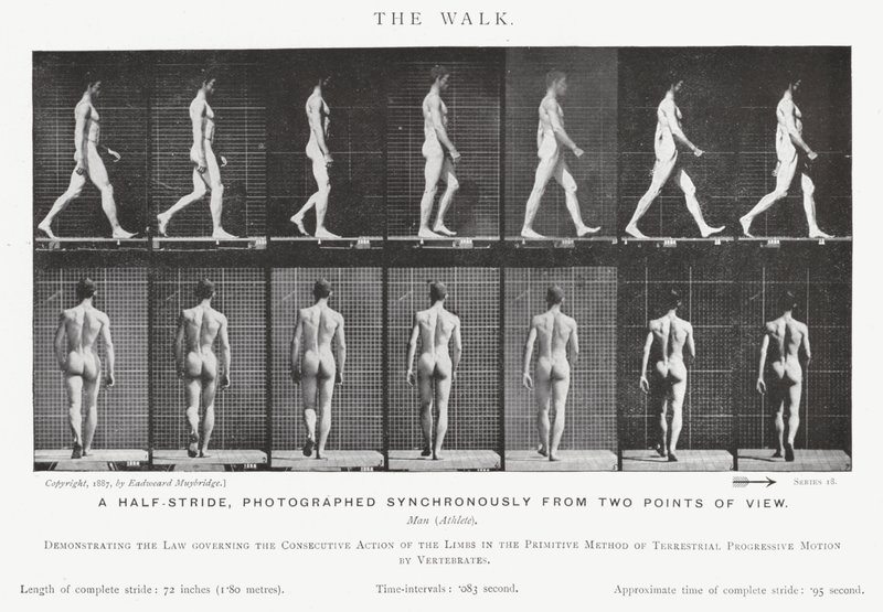 Eadweard Muybridge: De wandeling (zw/w foto) door Eadweard Muybridge
