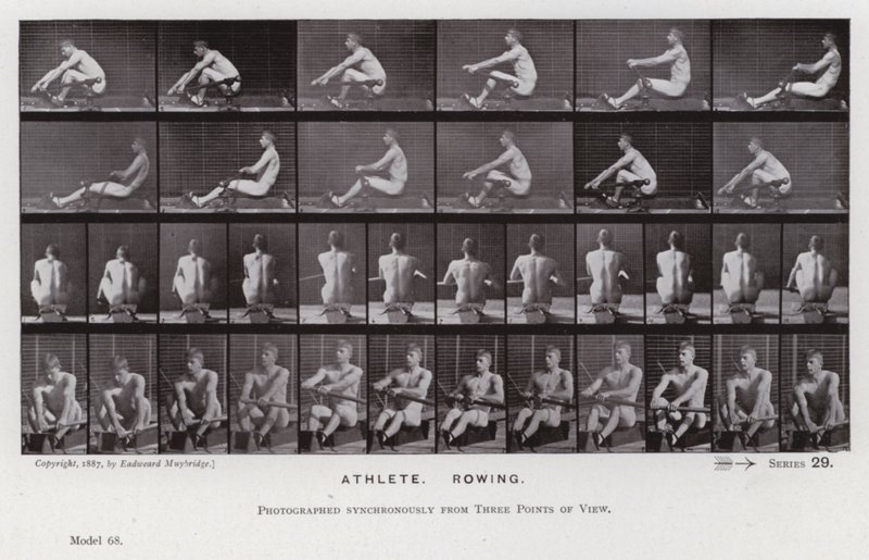De menselijke figuur in beweging: Atleet, roeien door Eadweard Muybridge