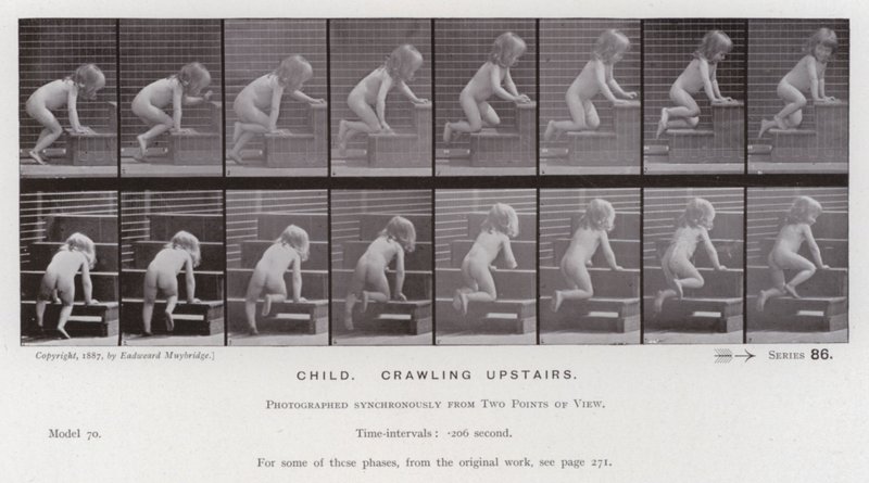 De menselijke figuur in beweging: Kind, kruipen op de trap door Eadweard Muybridge