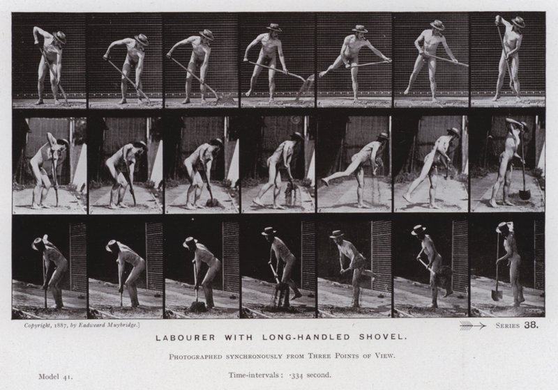 De menselijke figuur in beweging: Arbeider met lange steel schop door Eadweard Muybridge