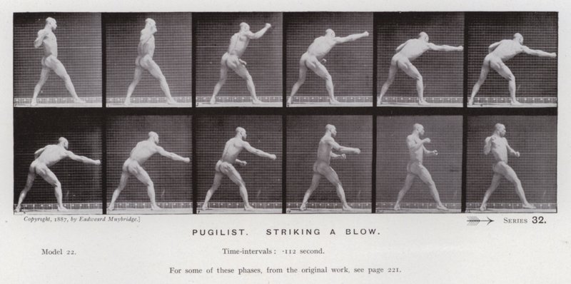 De menselijke figuur in beweging: Bokser, een slag toebrengend door Eadweard Muybridge