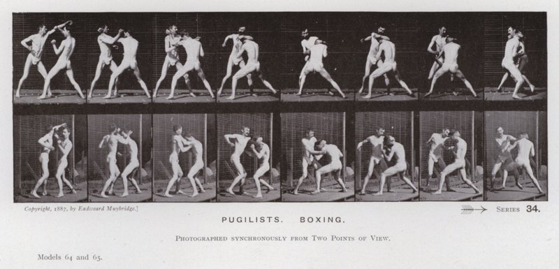 De menselijke figuur in beweging: Boksers, boksen door Eadweard Muybridge