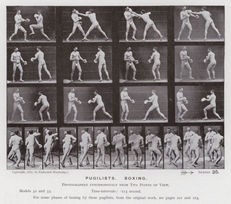 De menselijke figuur in beweging: Boksers, boksen door Eadweard Muybridge