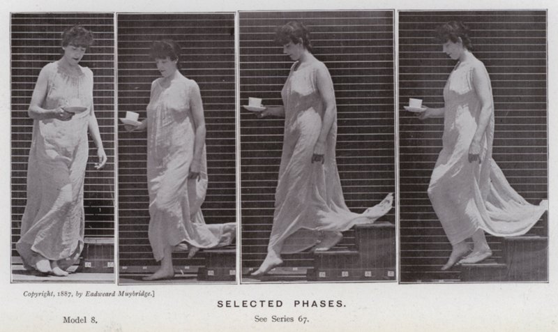 Het menselijk lichaam in beweging: Geselecteerde fasen (zwart-wit foto) door Eadweard Muybridge