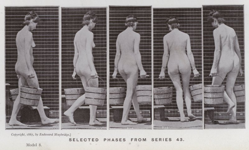 De menselijke figuur in beweging: Geselecteerde fasen uit serie 43 door Eadweard Muybridge