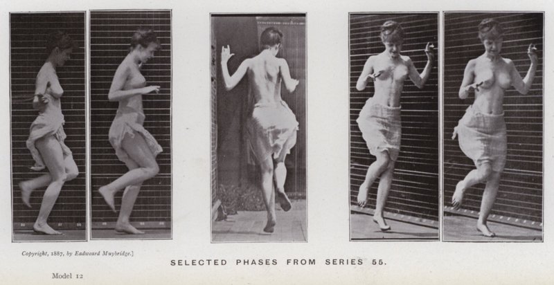 De menselijke figuur in beweging: Geselecteerde fasen uit serie 55 door Eadweard Muybridge