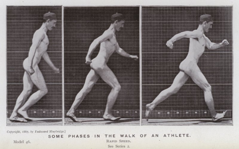 De menselijke figuur in beweging: Enkele fasen in de wandeling van een atleet door Eadweard Muybridge
