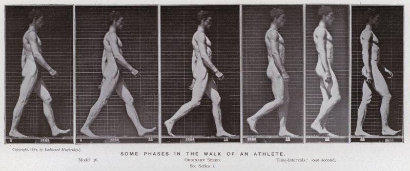 De menselijke figuur in beweging: Enkele fasen in de wandeling van een atleet door Eadweard Muybridge