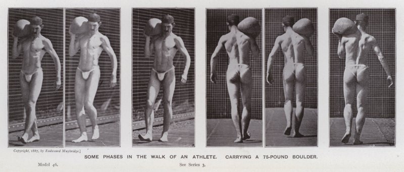 De menselijke figuur in beweging: Enkele fasen in de wandeling van een atleet, met een 75-pond rotsblok door Eadweard Muybridge