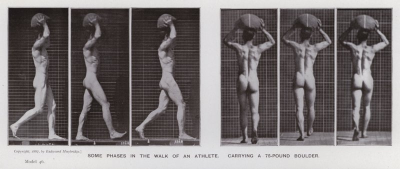 De menselijke figuur in beweging: Enkele fasen in de wandeling van een atleet met een steen van 75 pond door Eadweard Muybridge