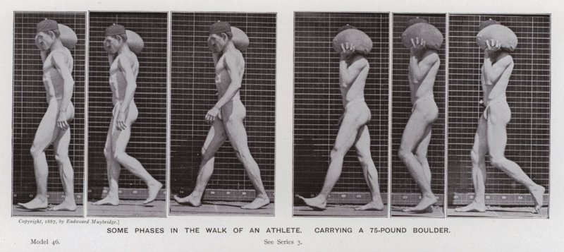 De menselijke figuur in beweging: Enkele fasen in de wandeling van een atleet, een 75-ponds kei dragend door Eadweard Muybridge