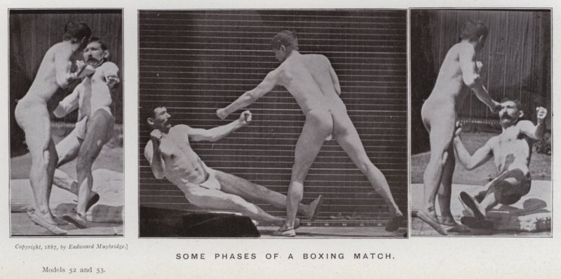 Het menselijk lichaam in beweging: Enkele fasen van een bokswedstrijd (zwart-wit foto) door Eadweard Muybridge