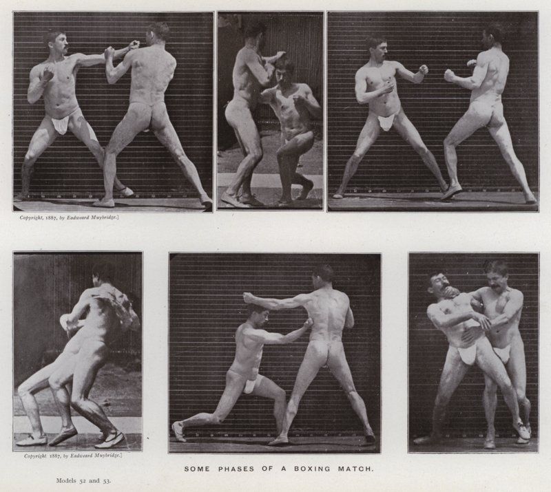Het menselijk lichaam in beweging: Enkele fasen van een bokswedstrijd (zwart-wit foto) door Eadweard Muybridge