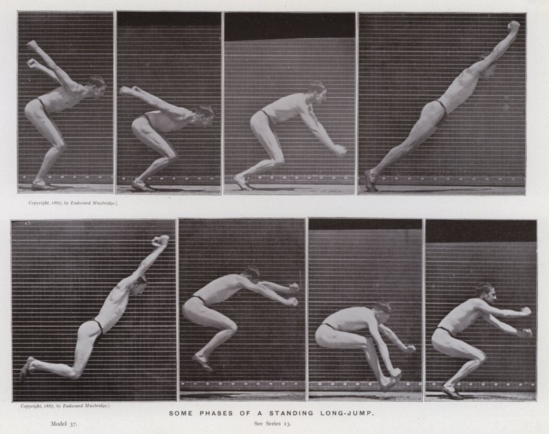 Het menselijk lichaam in beweging: Enkele fasen van een staande lange sprong (zwart-wit foto) door Eadweard Muybridge