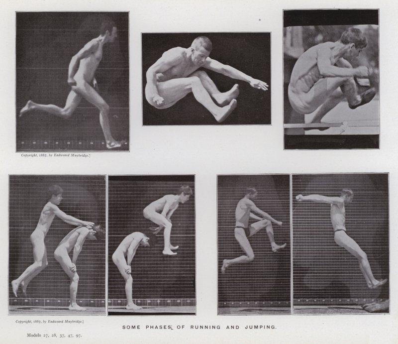 De menselijke figuur in beweging: Enkele fasen van rennen en springen door Eadweard Muybridge
