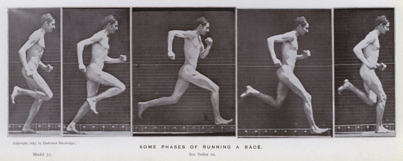 Het menselijk lichaam in beweging: Enkele fasen van het rennen voor een race (zwart-wit foto) door Eadweard Muybridge