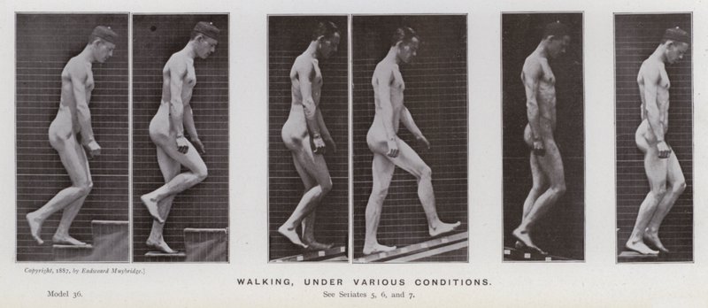 De menselijke figuur in beweging: Lopen, onder verschillende omstandigheden door Eadweard Muybridge