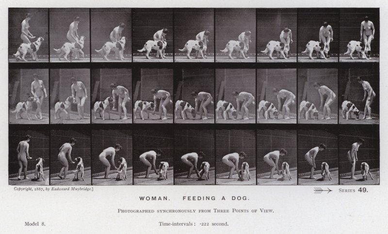 De menselijke figuur in beweging: Vrouw, een hond voeren door Eadweard Muybridge