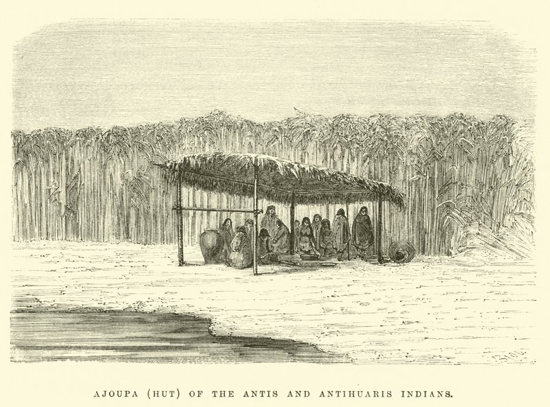 Ajoupa (hut) van de Antis en Antihuaris Indianen door Edouard Riou