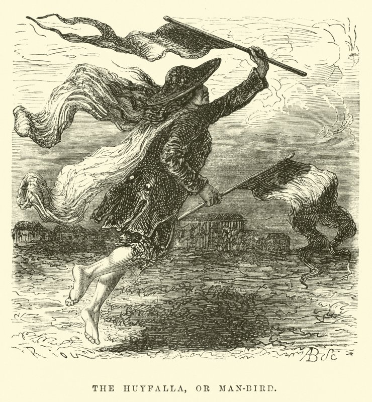 De Huyfalla, of man-vogel door Edouard Riou