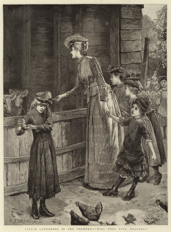 Kleine Londenaren op het platteland, zullen ze bijten, leraar door Edward Frederick Brewtnall