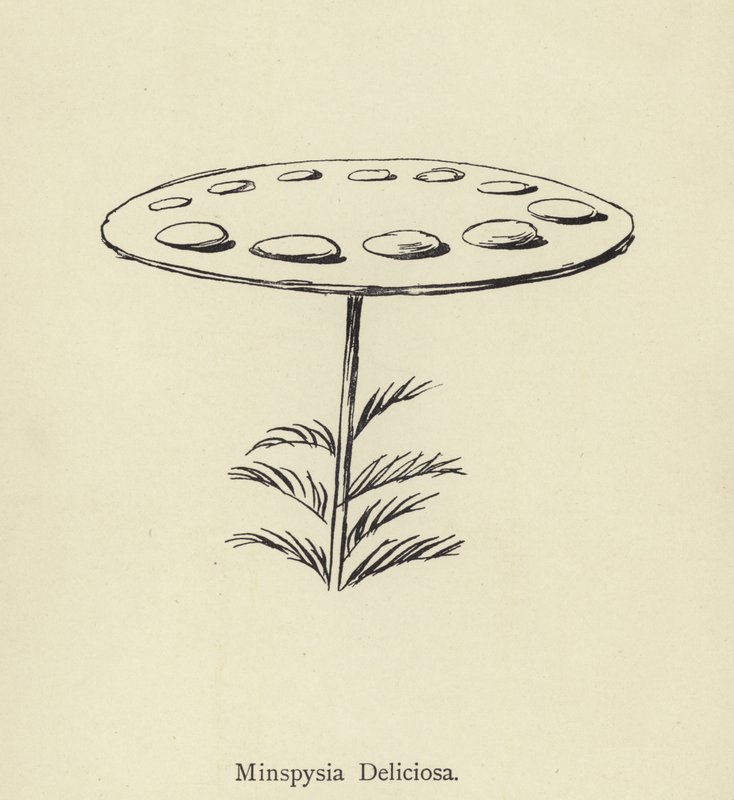 Minspysia Deliciosa door Edward Lear