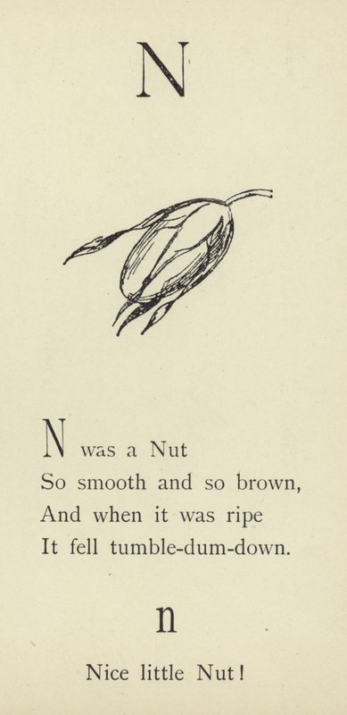 De letter N door Edward Lear