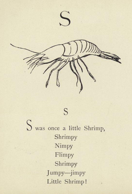 De letter S door Edward Lear