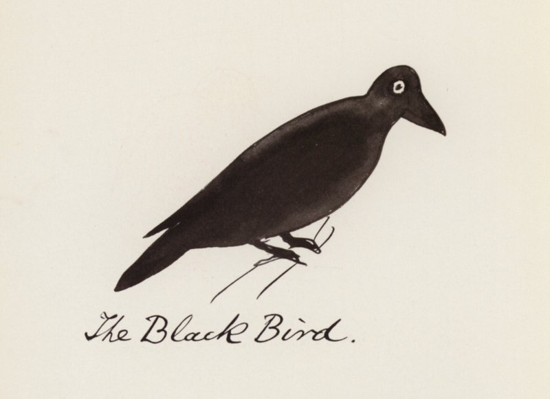 Edward Lear, Het Vogelboek: De zwarte vogel door Edward (after) Lear