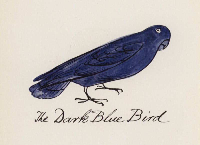 Edward Lear, Het Vogelboek: De Donkerblauwe Vogel door Edward (after) Lear